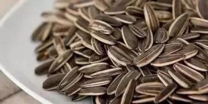 水果饼干在盘子上&#xA;&#xA;中度可信度描述已自动生成