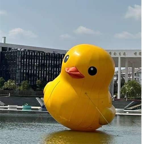 谢谢小星星.jpg